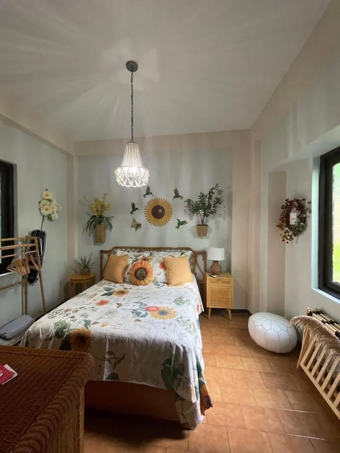 The Garden Apartment, The Willow Apartment, & The Tropical Apartment At Casa Of Essence In Old 산후안 푸에르토리코